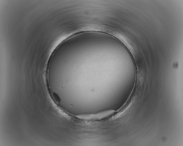 X0000094450901200711151424