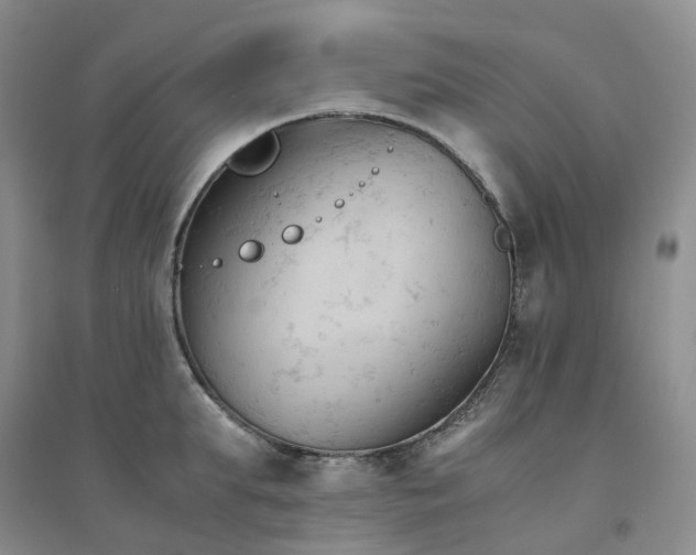 X0000094450903200711151424