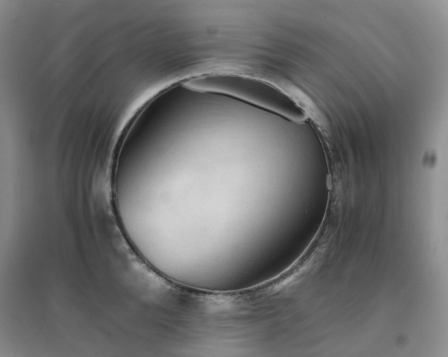 X0000094450904200711151424