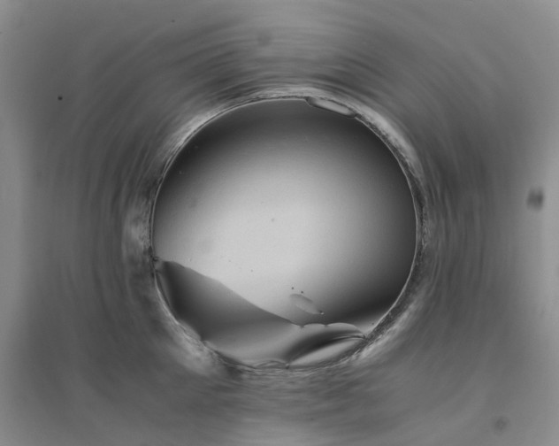 X0000094450905200711151424