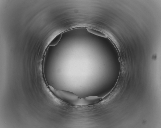 X0000094450906200711151424