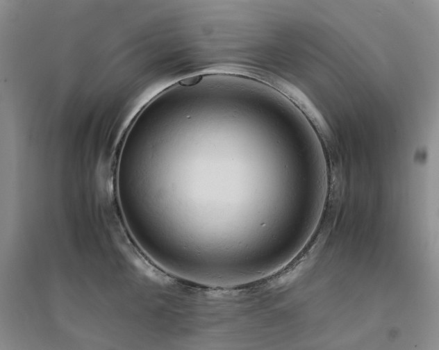 X0000094450908200711151424