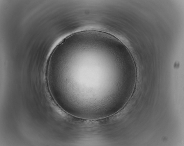 X0000094450912200711151424