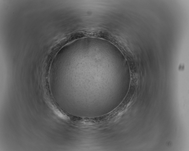X0000094450913200711151424