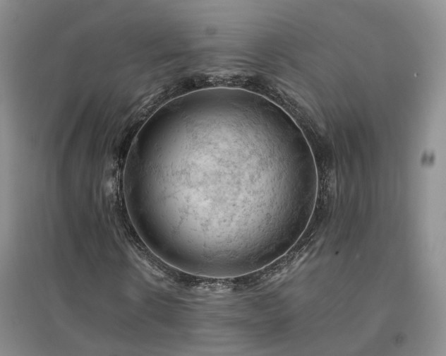 X0000094450914200711151424