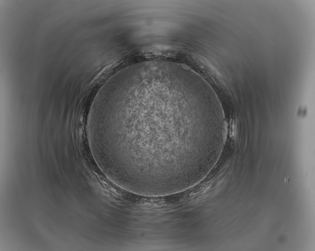 X0000094450915200711151424