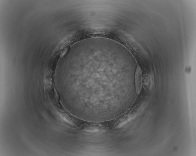 X0000094450916200711151424