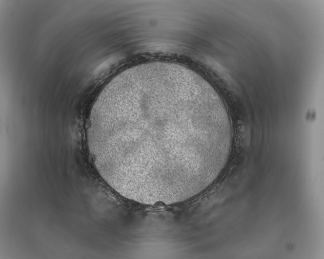 X0000094450918200711151424
