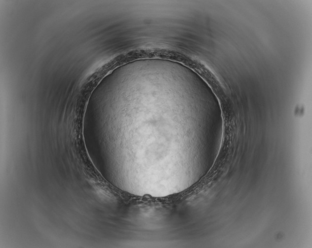 X0000094450919200711151424