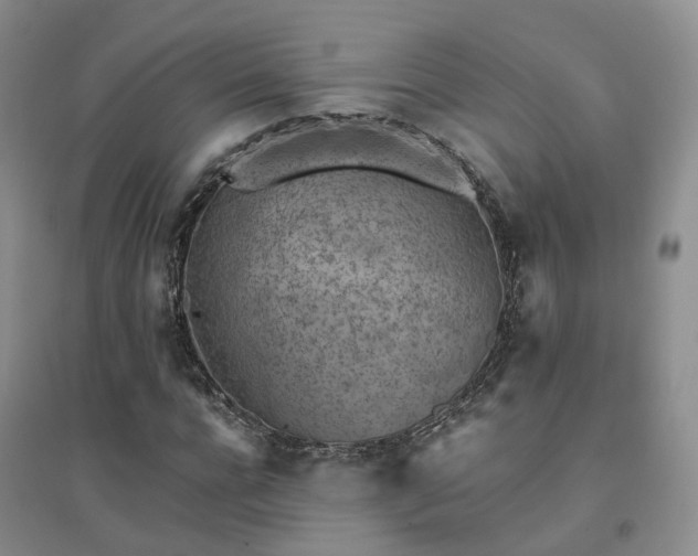 X0000094450920200711151424
