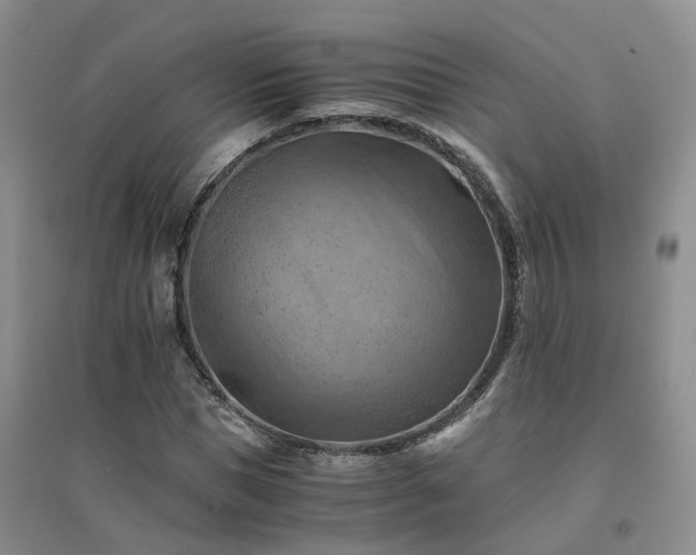 X0000094450921200711151424