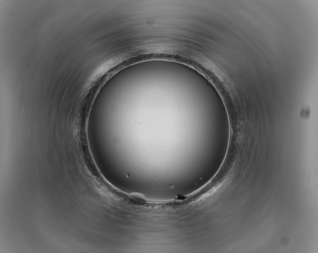 X0000094450922200711151424