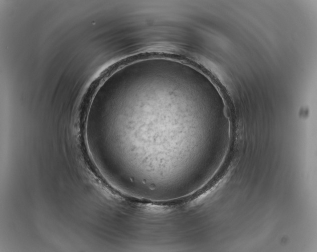 X0000094450923200711151424