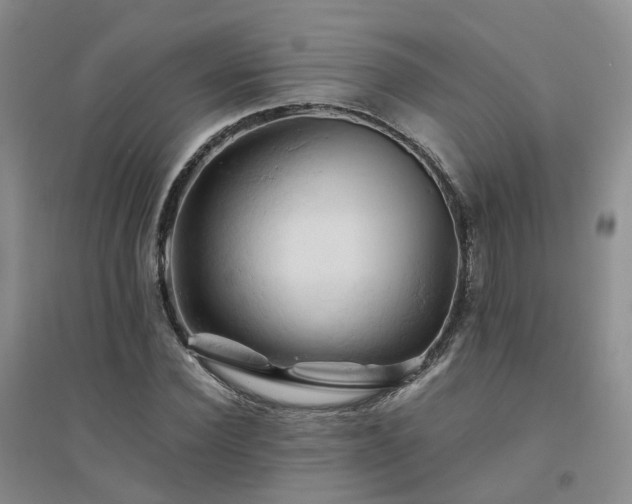 X0000094450924200711151424