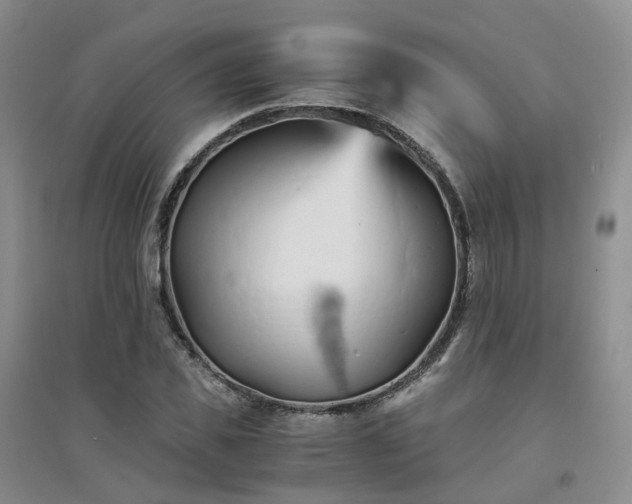 X0000094450925200711151424