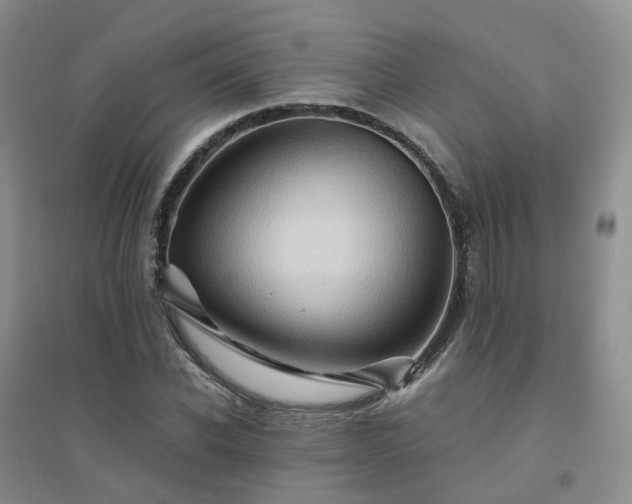 X0000094450926200711151424
