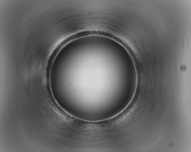 X0000094450927200711151424