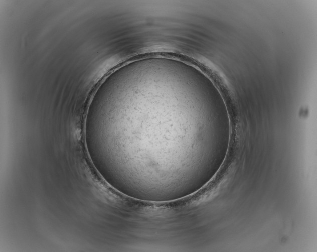 X0000094450929200711151424