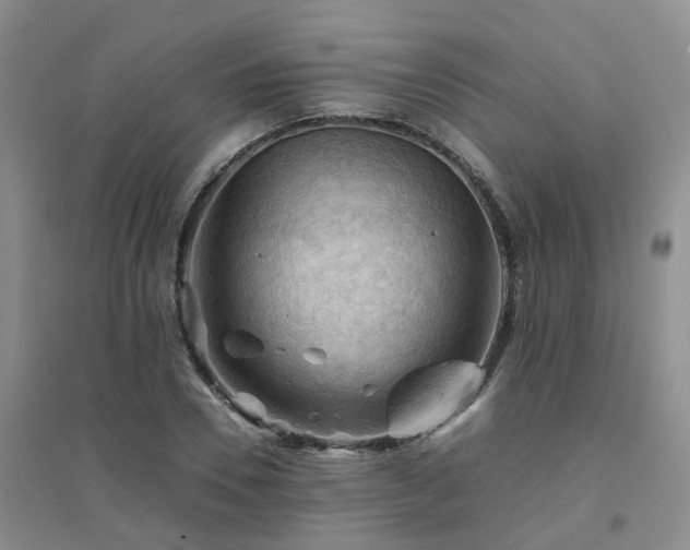 X0000094450930200711151424