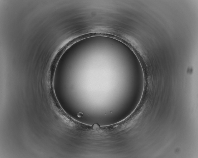 X0000094450931200711151424