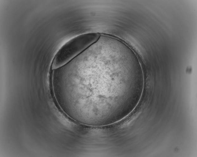 X0000094450932200711151424