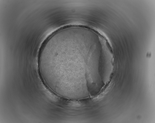 X0000094450935200711151424