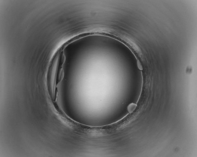 X0000094450936200711151424