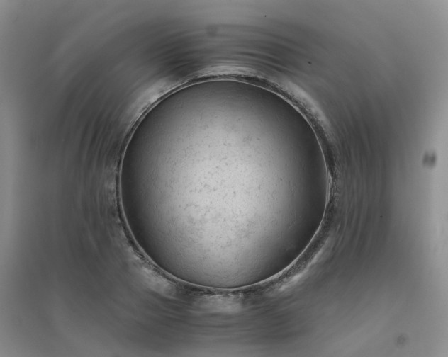 X0000094450937200711151424