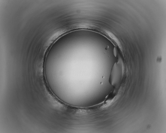 X0000094450938200711151424