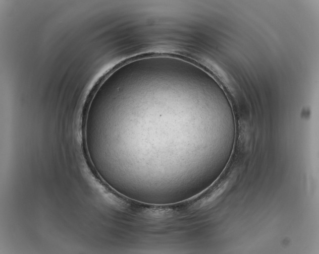 X0000094450939200711151424
