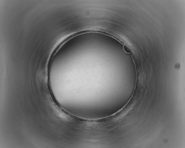X0000094450940200711151424