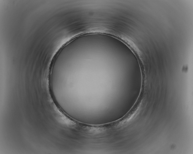 X0000094450941200711151424