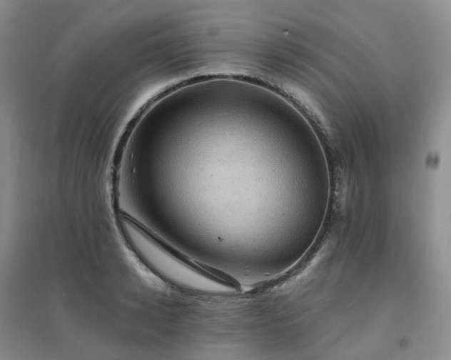 X0000094450942200711151424