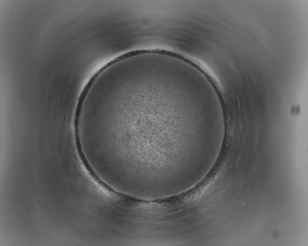 X0000094450943200711151424