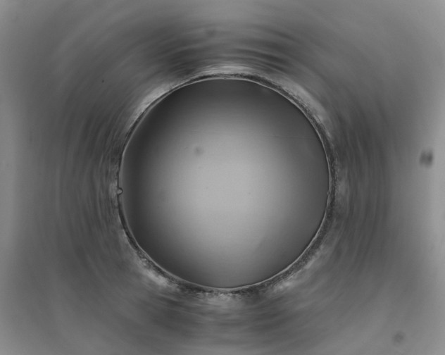X0000094450945200711151424