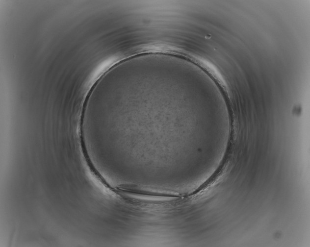 X0000094450946200711151424