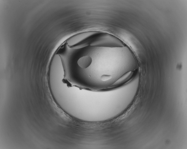 X0000094450948200711151424