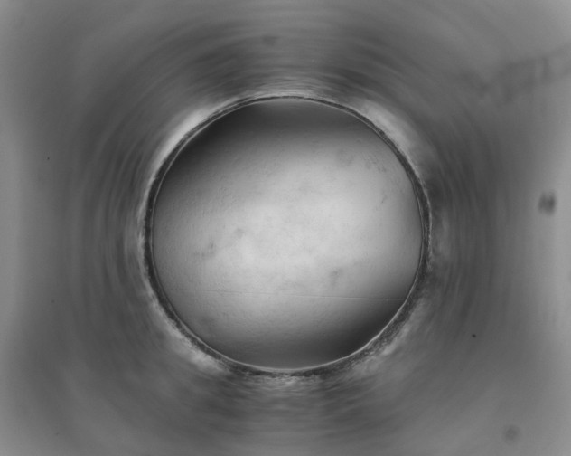 X0000094450949200711151424