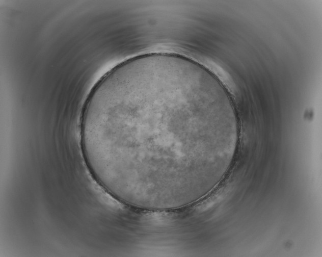 X0000094450950200711151424