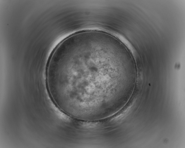 X0000094450951200711151424