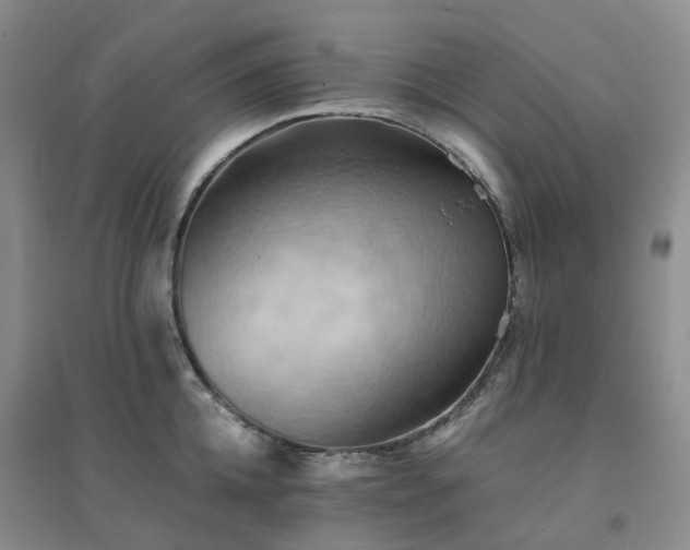X0000094450952200711151424