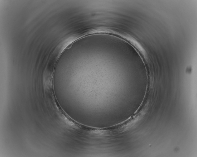 X0000094450953200711151424