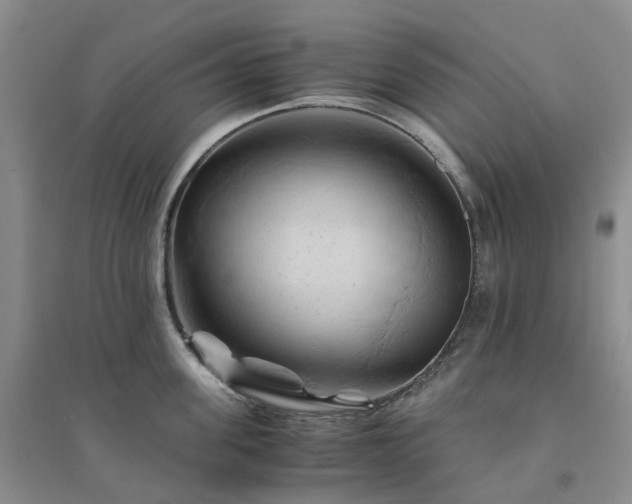 X0000094450955200711151424