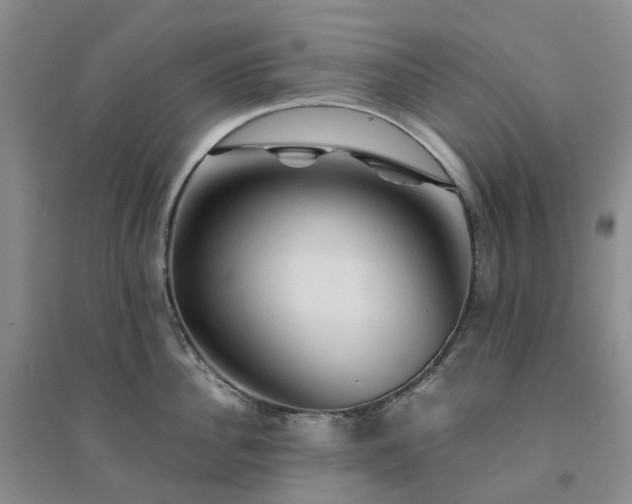 X0000094450956200711151424