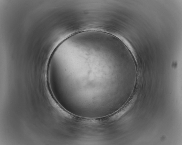 X0000094450957200711151424