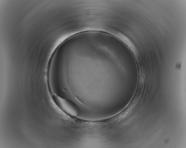 X0000094450958200711151424
