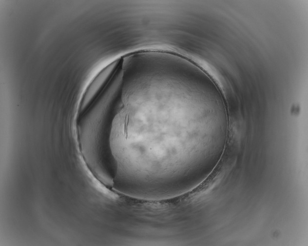 X0000094450959200711151424