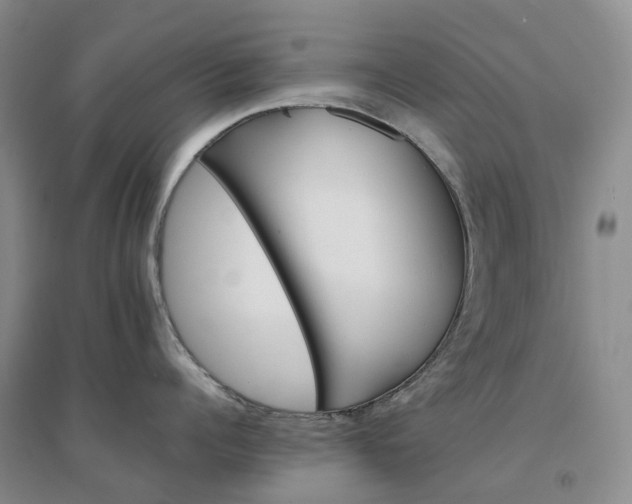 X0000094450960200711151424