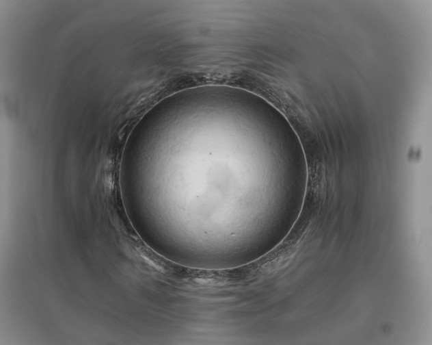 X0000094450962200711151424