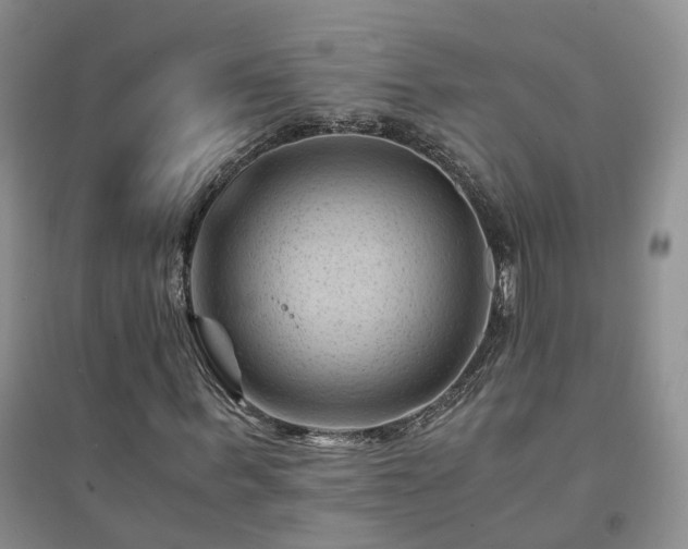 X0000094450963200711151424